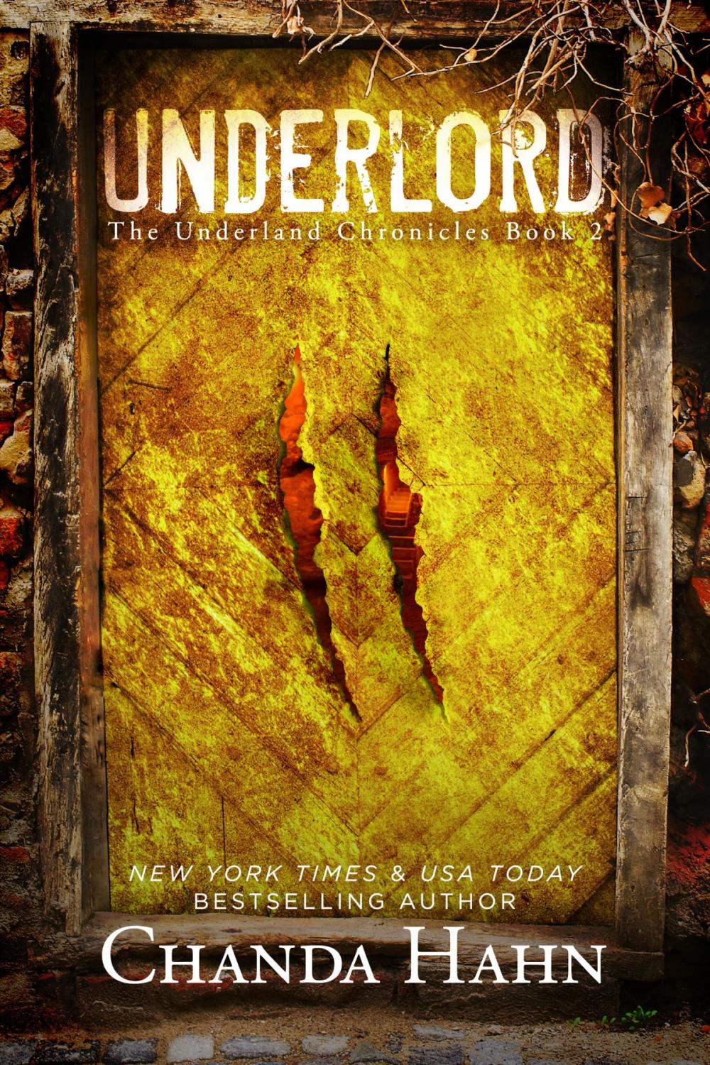 Big bigCover of Underlord