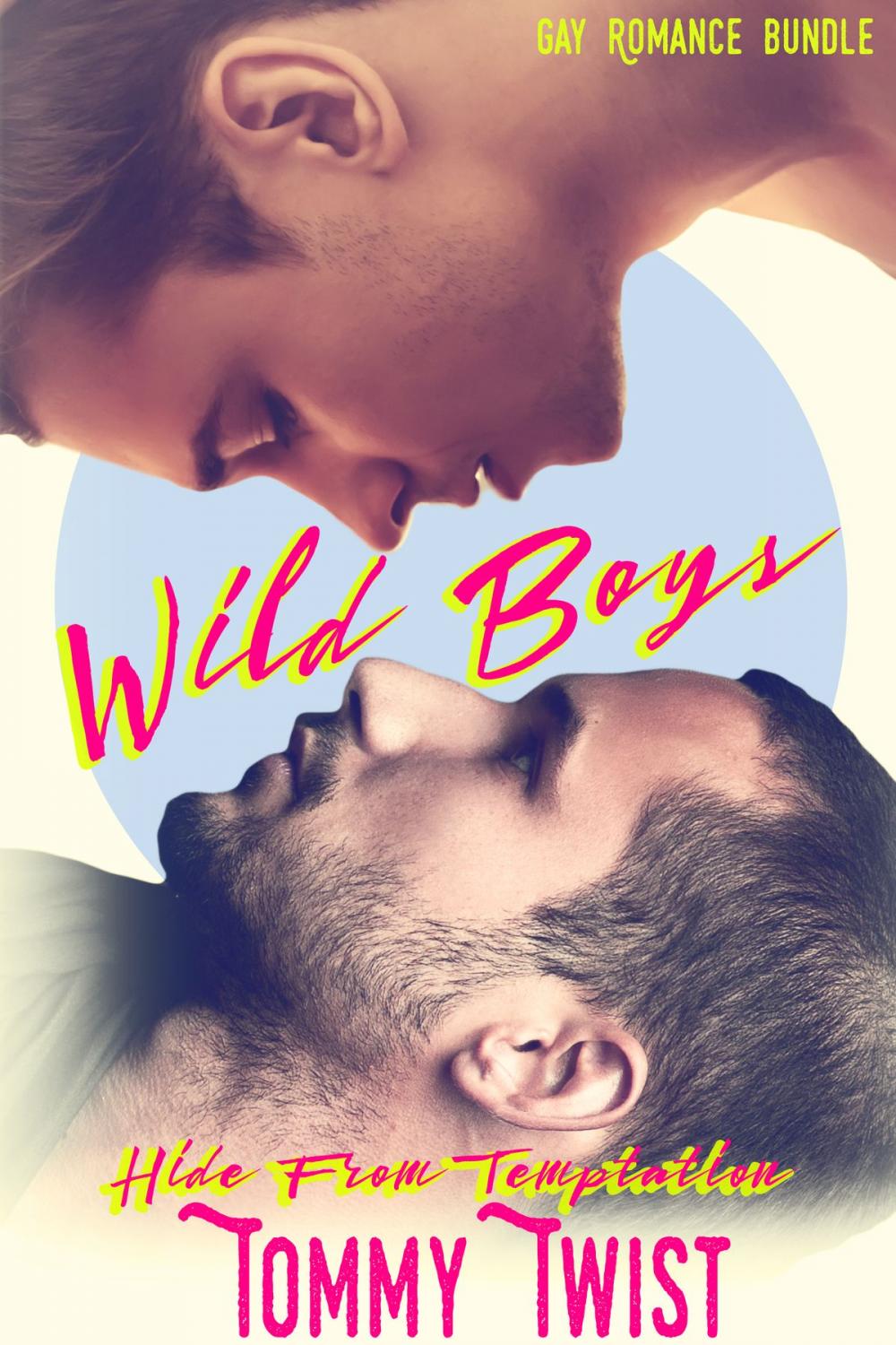 Big bigCover of Wild Boys