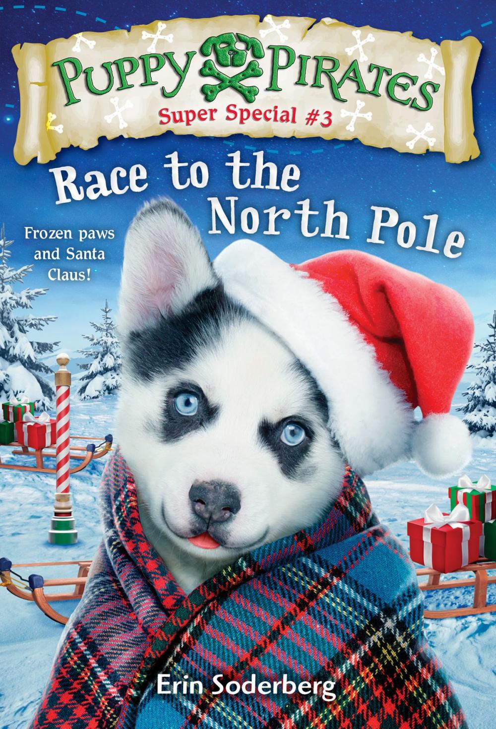 Big bigCover of Puppy Pirates Super Special #3: Race to the North Pole