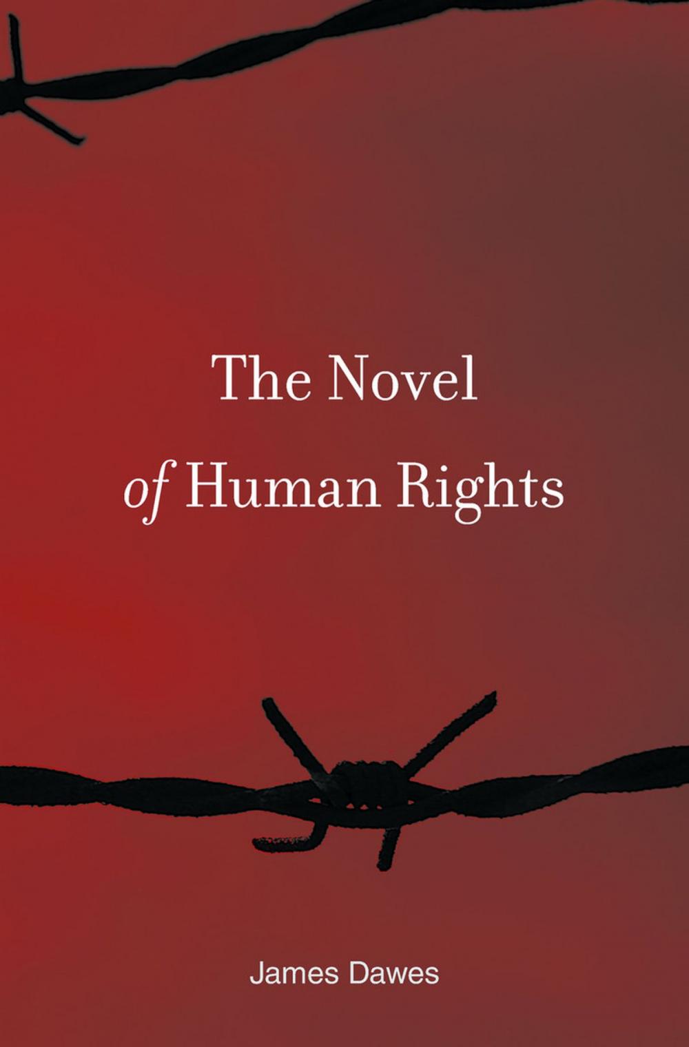 Big bigCover of The Novel of Human Rights