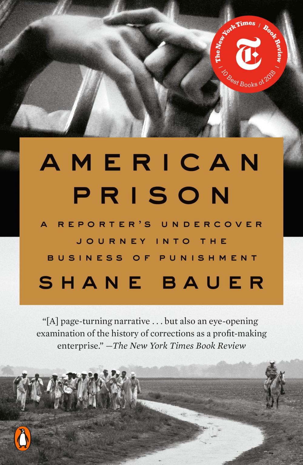 Big bigCover of American Prison