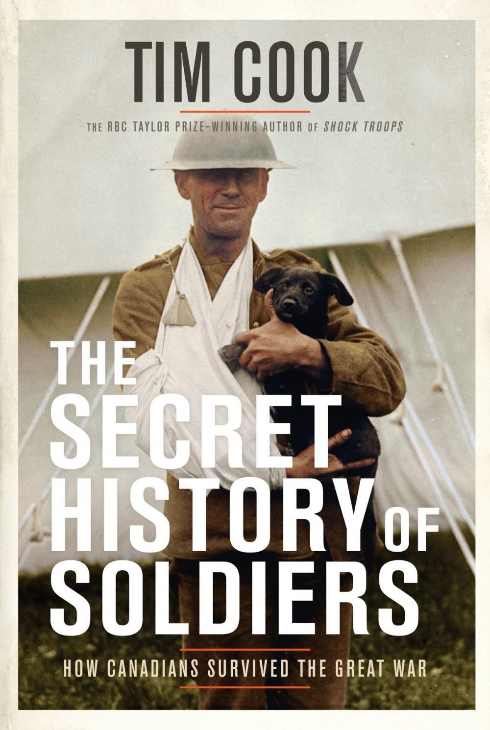 Big bigCover of The Secret History of Soldiers