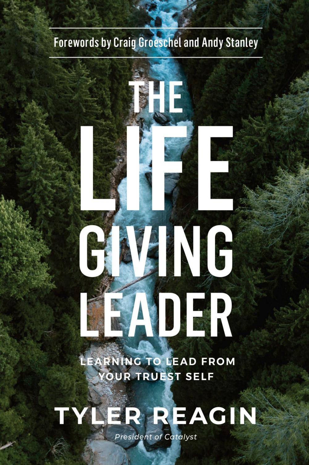 Big bigCover of The Life-Giving Leader