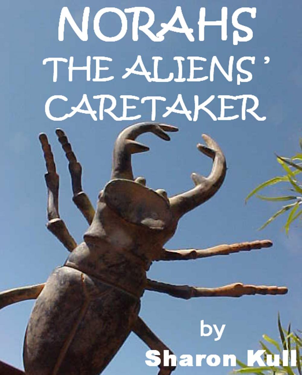 Big bigCover of Norahs: The Aliens' Caretaker