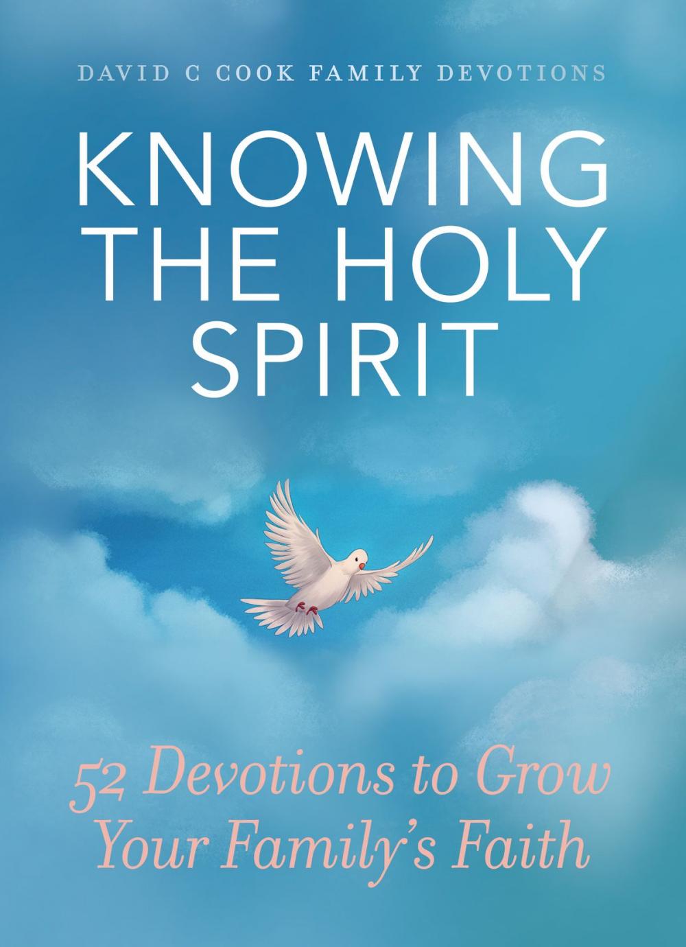 Big bigCover of Knowing the Holy Spirit