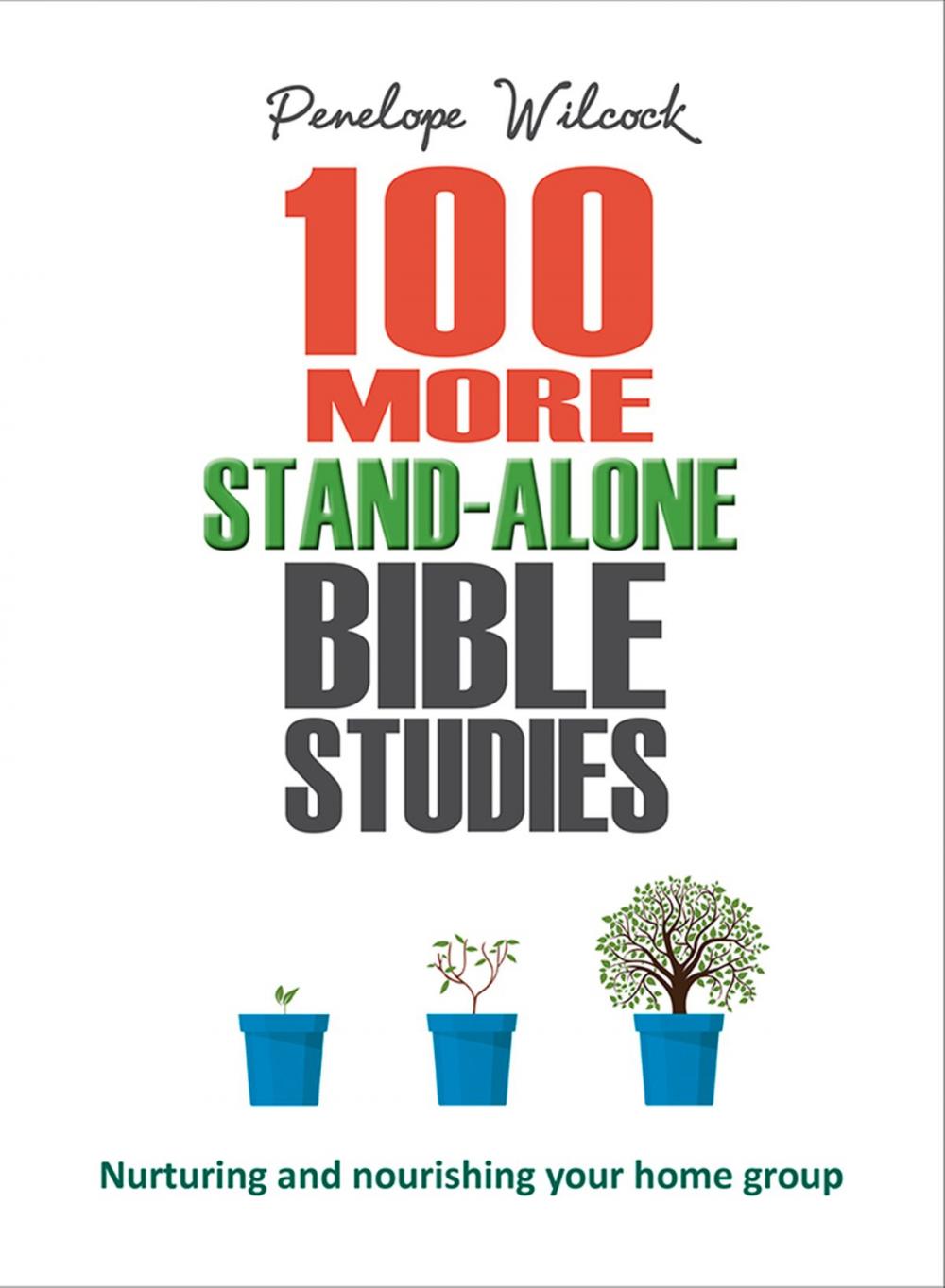 Big bigCover of 100 More Stand-Alone Bible Studies