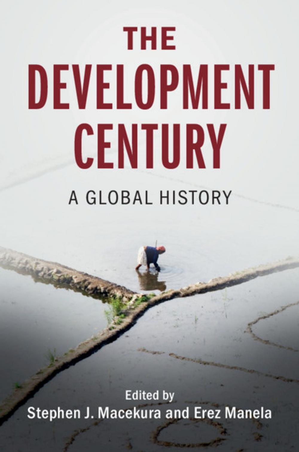 Big bigCover of The Development Century