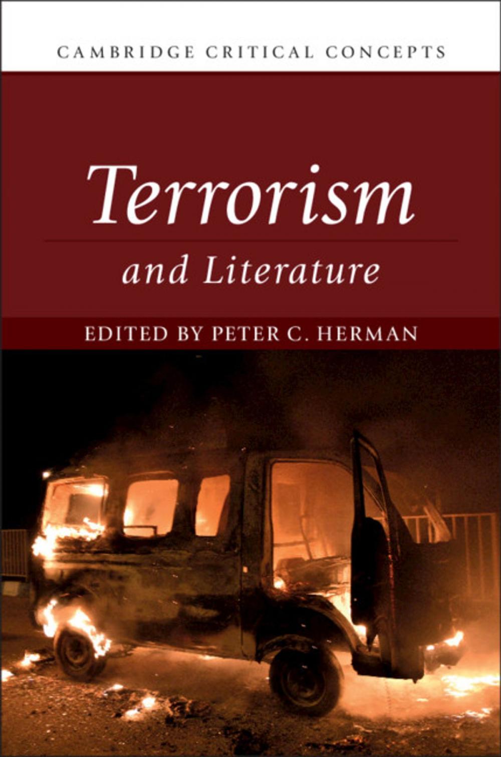 Big bigCover of Terrorism and Literature