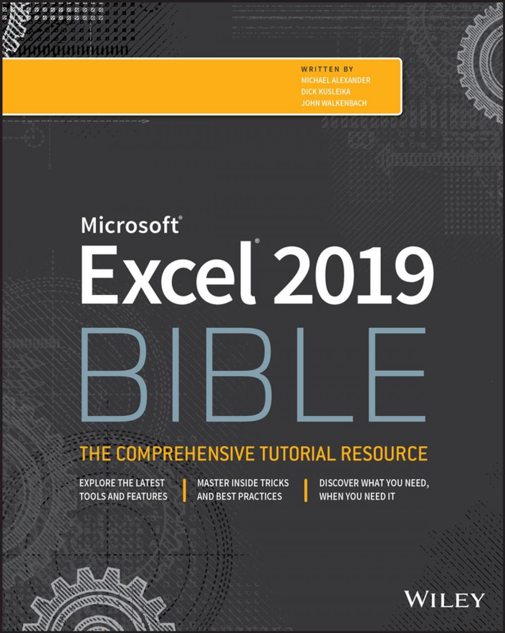 Big bigCover of Excel 2019 Bible