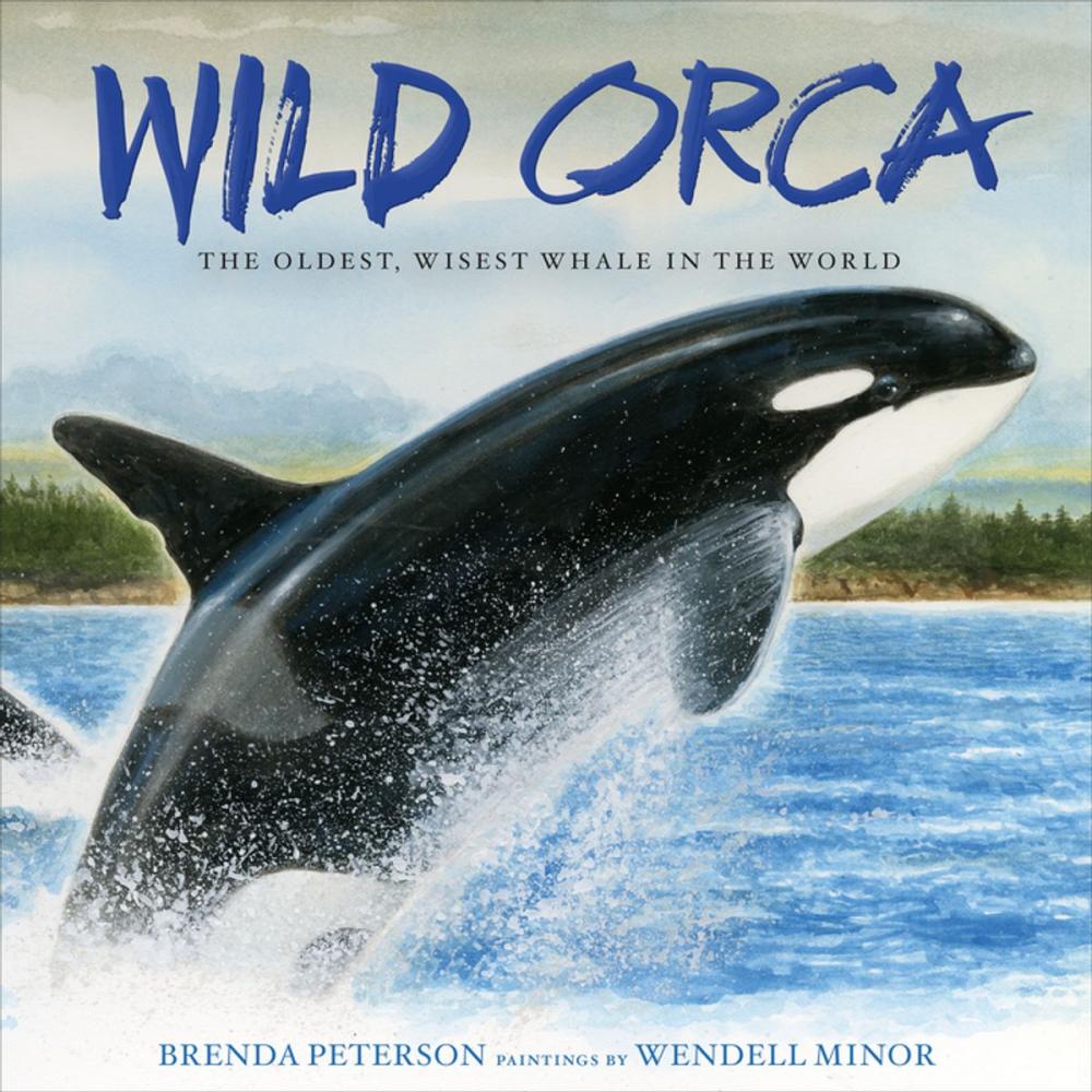 Big bigCover of Wild Orca