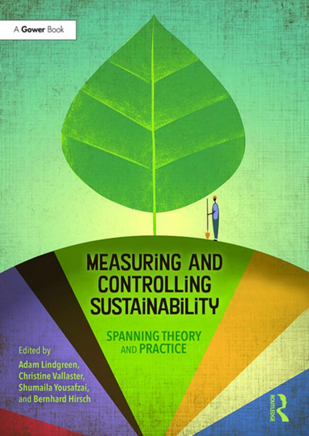 Big bigCover of Measuring and Controlling Sustainability