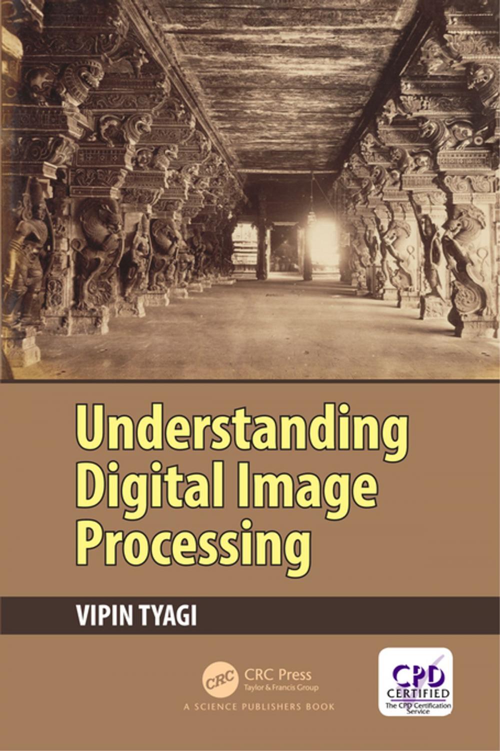 Big bigCover of Understanding Digital Image Processing