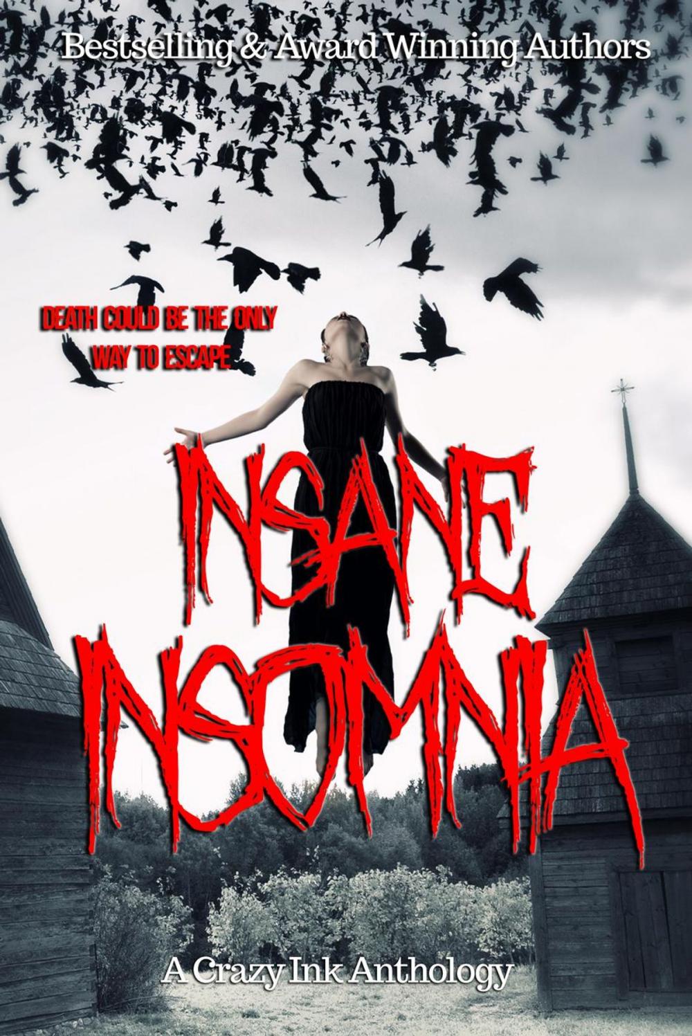 Big bigCover of Insane Insomnia