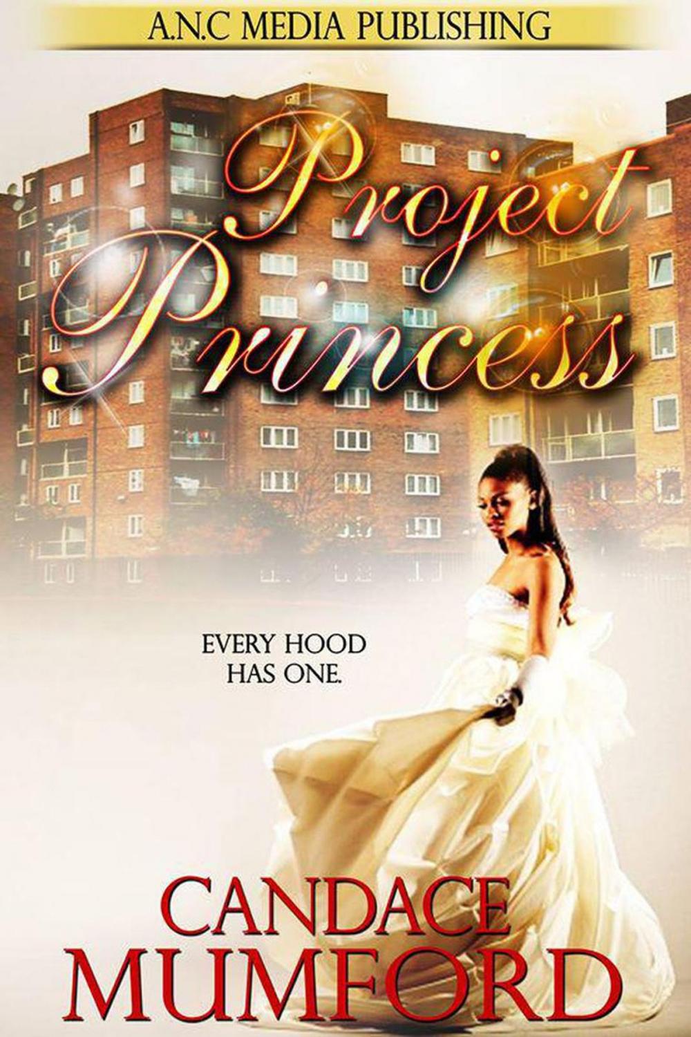 Big bigCover of Project Princess