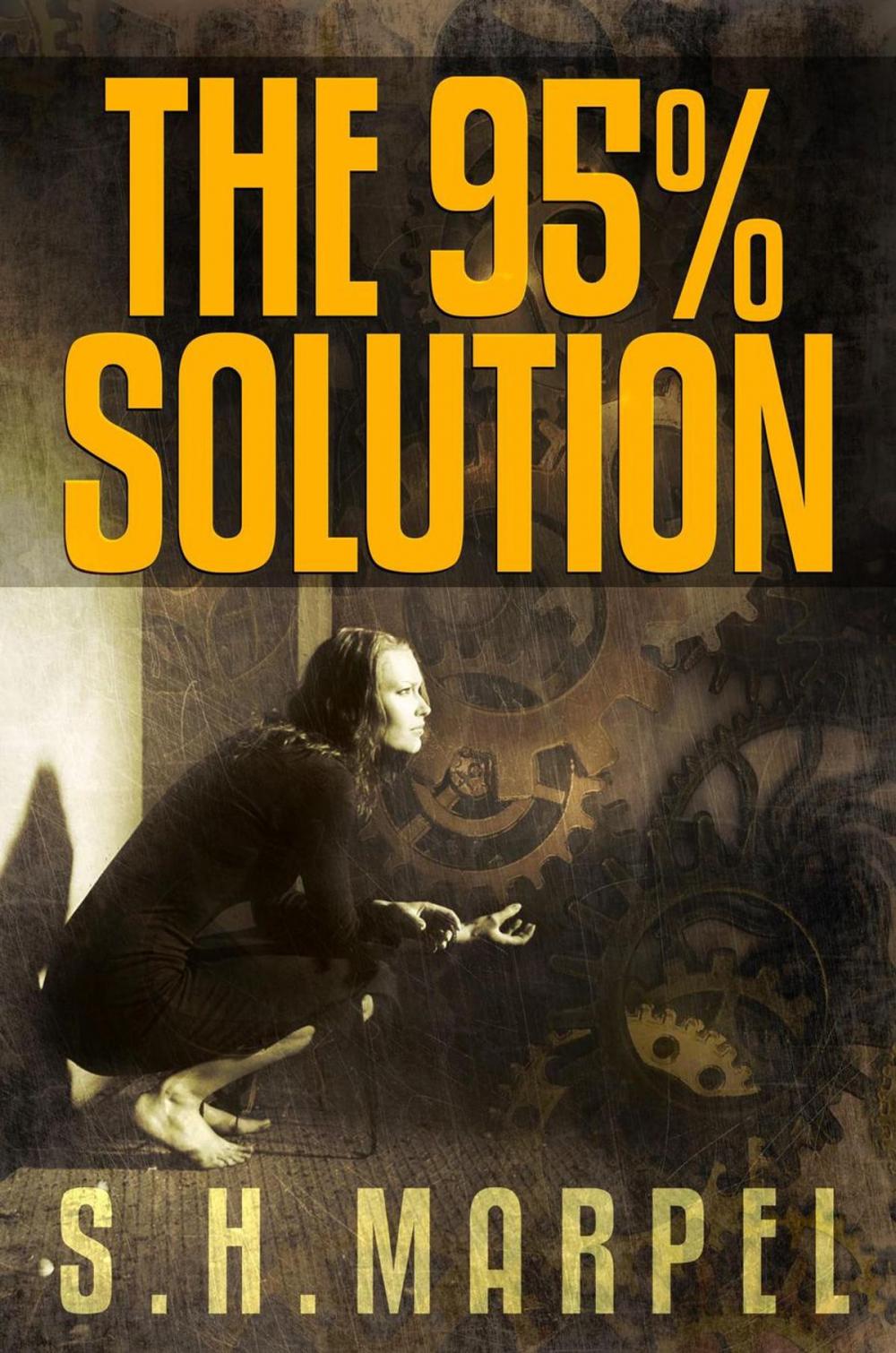 Big bigCover of The 95% Solution