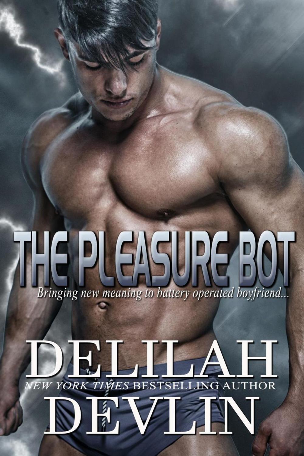 Big bigCover of The Pleasure Bot