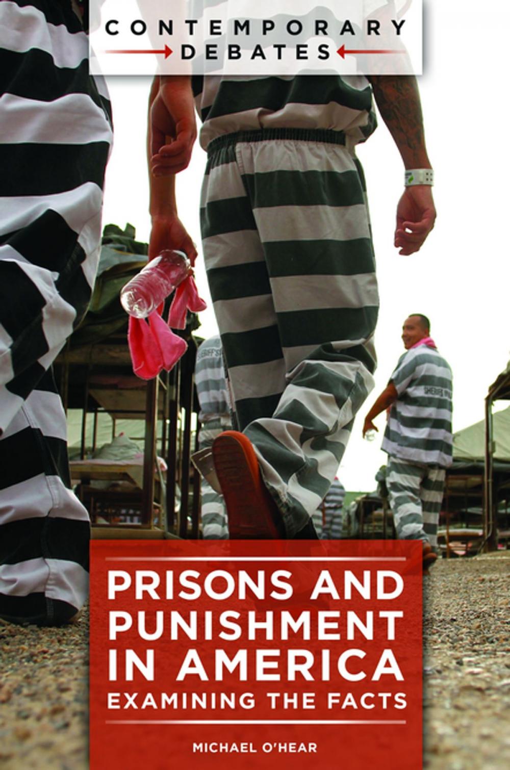 Big bigCover of Prisons and Punishment in America: Examining the Facts