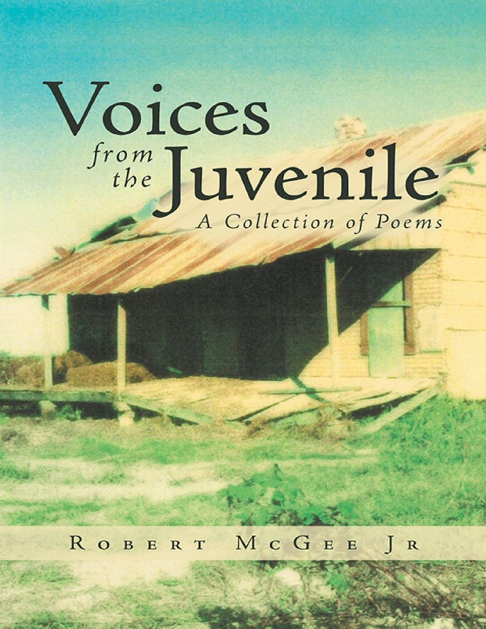 Big bigCover of Voices from the Juvenile: A Collection of Poems