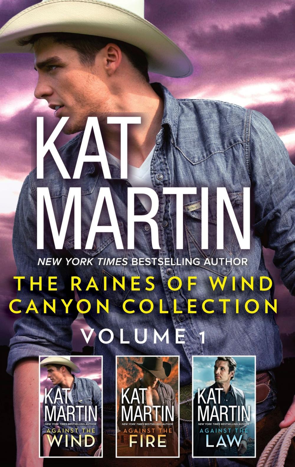 Big bigCover of The Raines of Wind Canyon Collection Volume 1