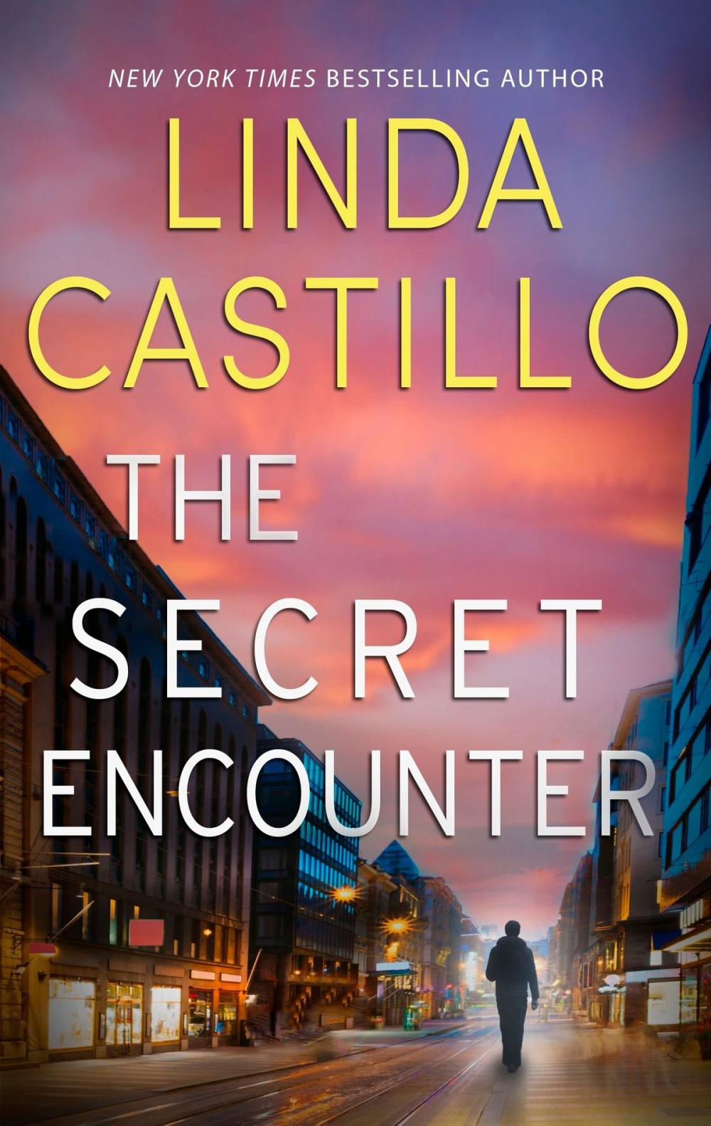 Big bigCover of The Secret Encounter