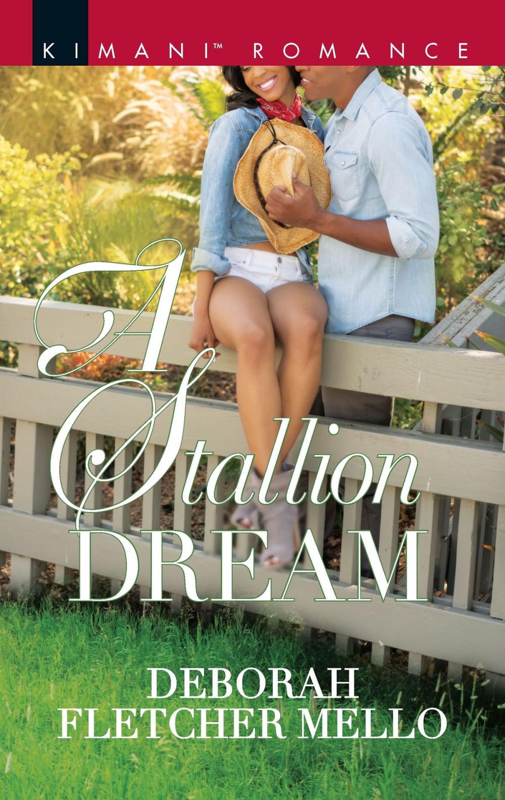 Big bigCover of A Stallion Dream