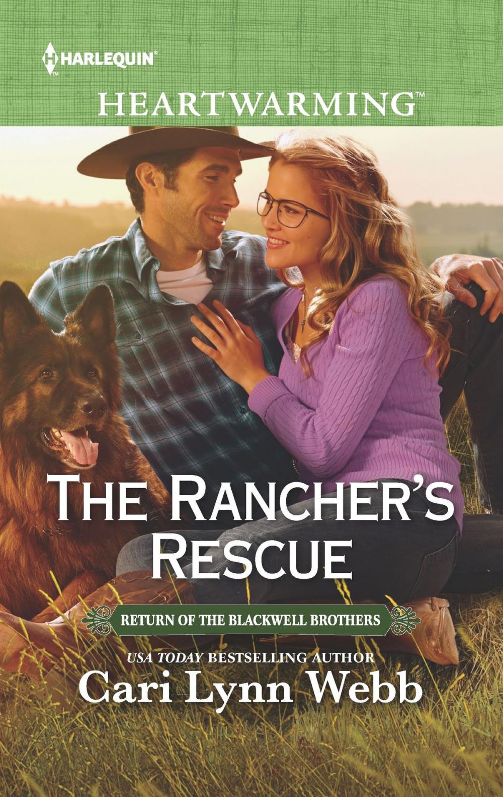 Big bigCover of The Rancher's Rescue