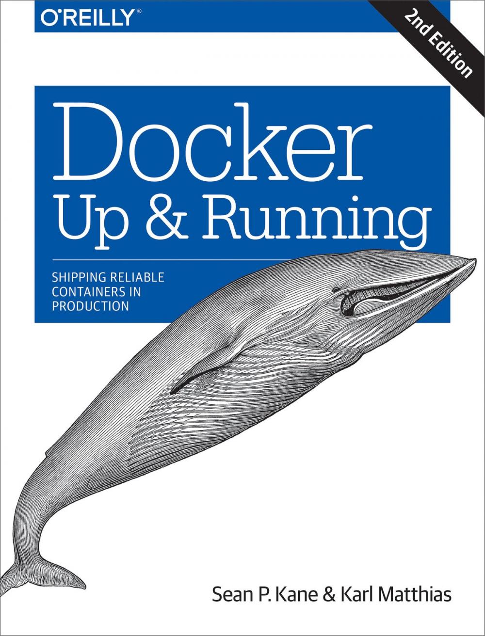 Big bigCover of Docker: Up & Running