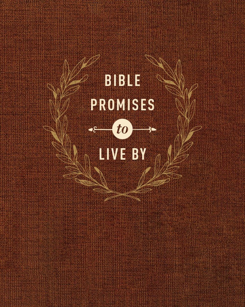 Big bigCover of Bible Promises to Live By