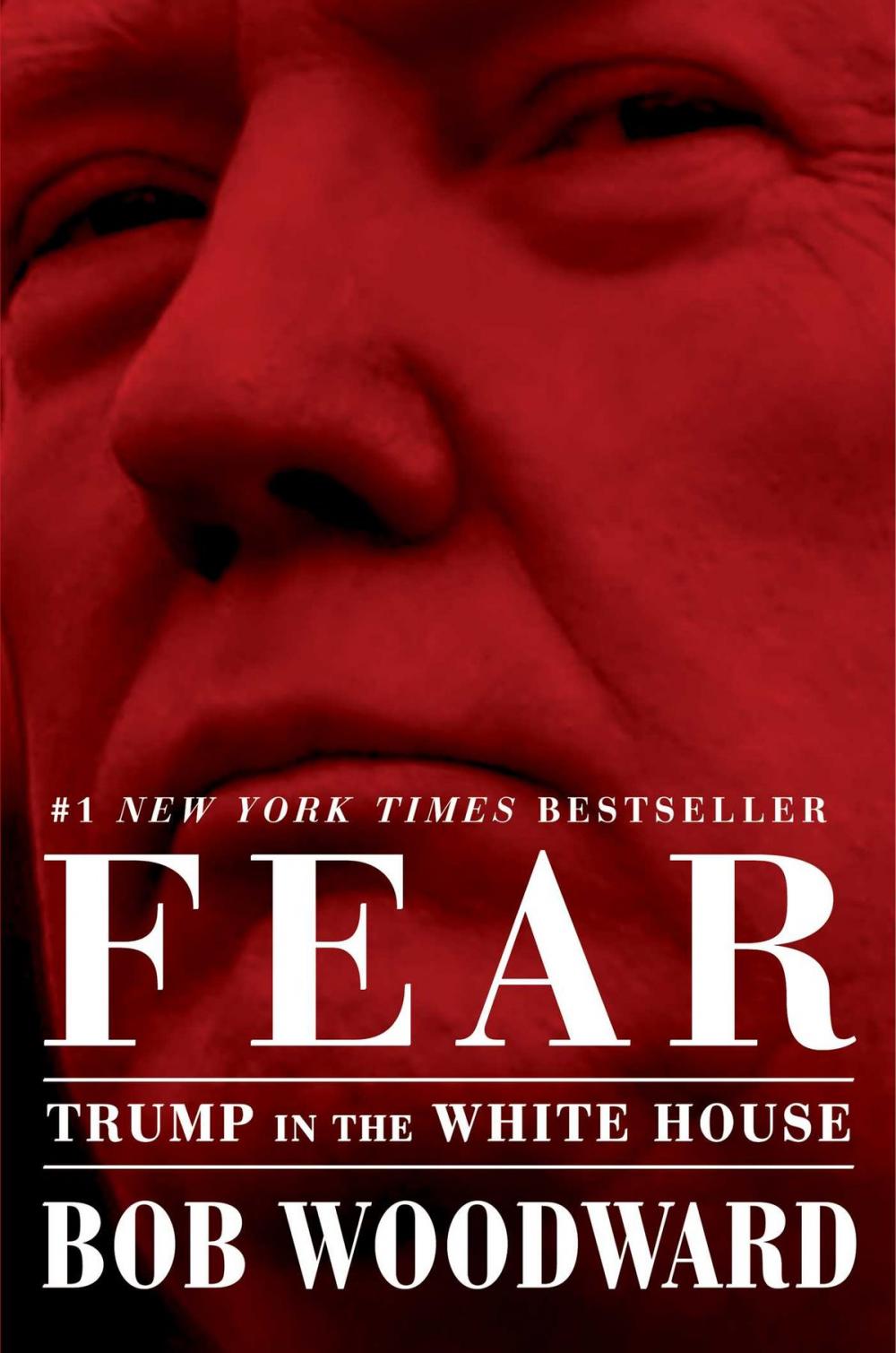 Big bigCover of Fear