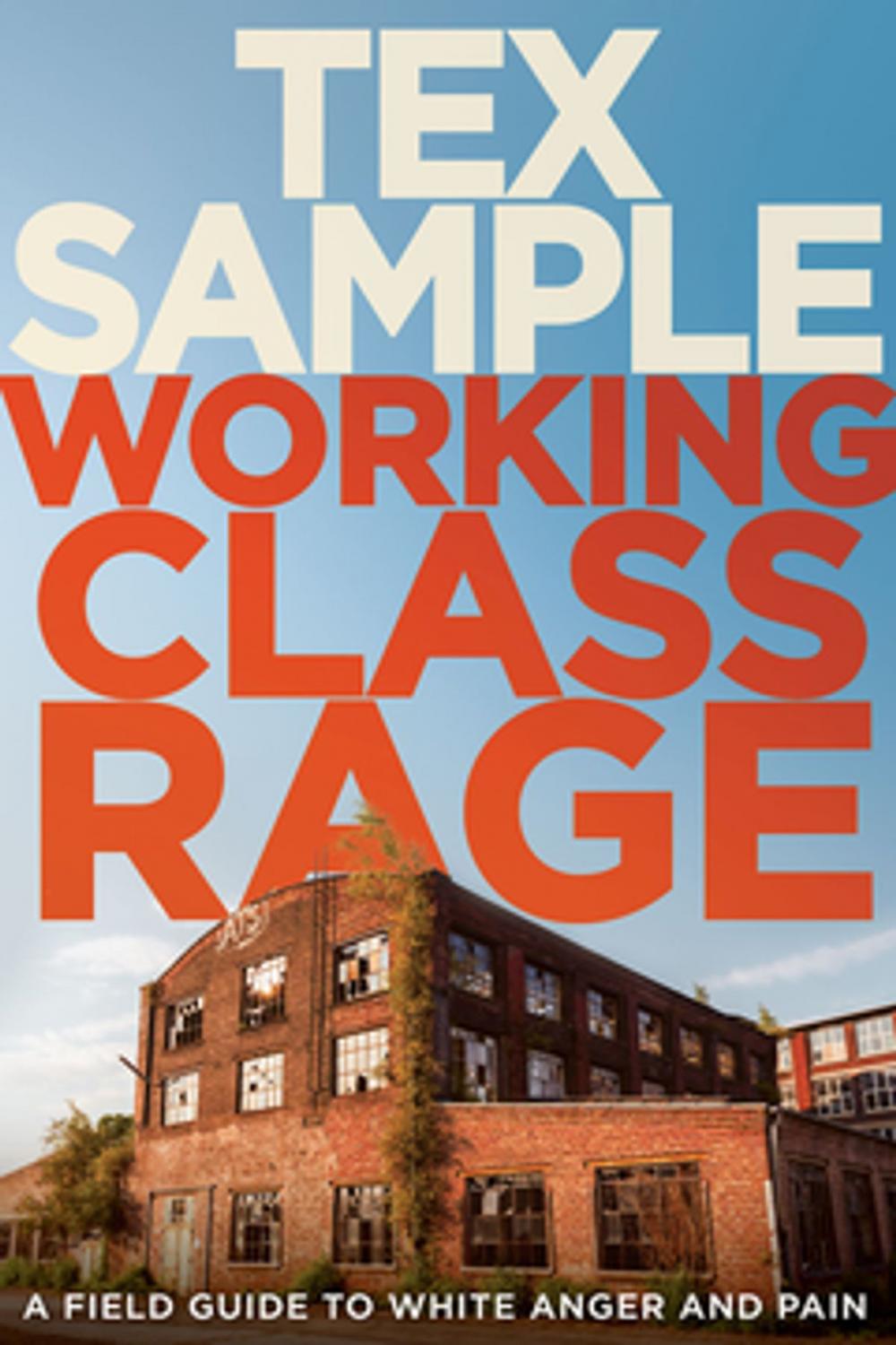 Big bigCover of Working Class Rage