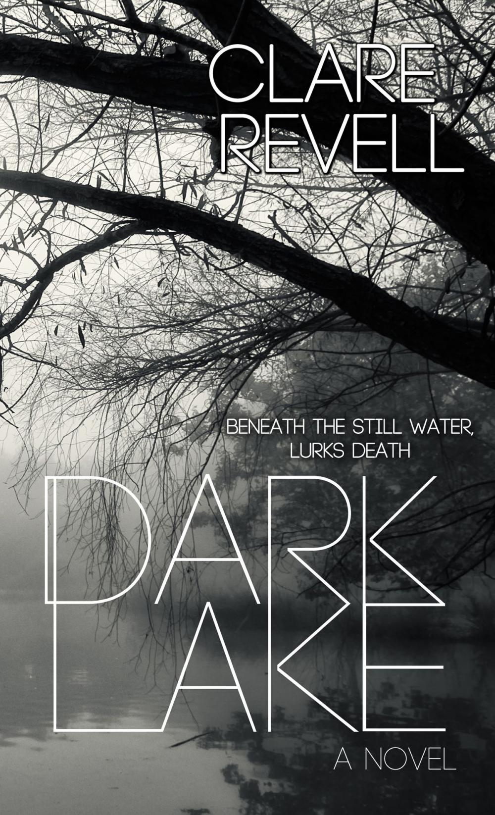 Big bigCover of Dark Lake