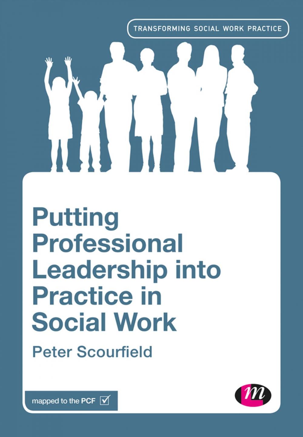 Big bigCover of Putting Professional Leadership into Practice in Social Work