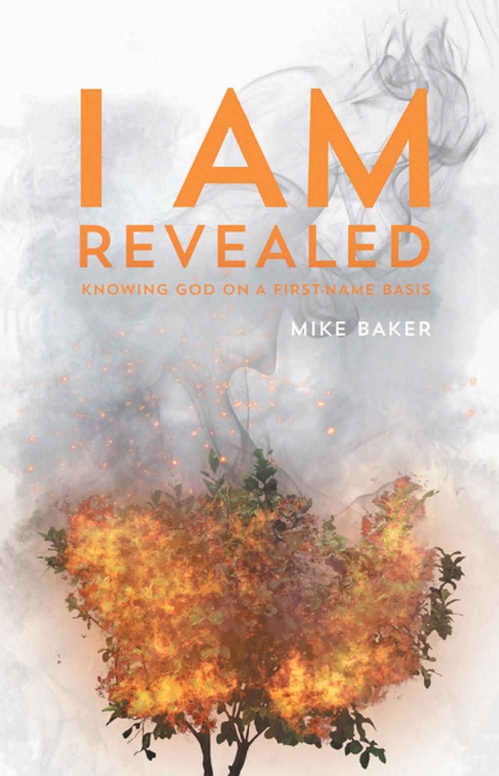 Big bigCover of I Am Revealed