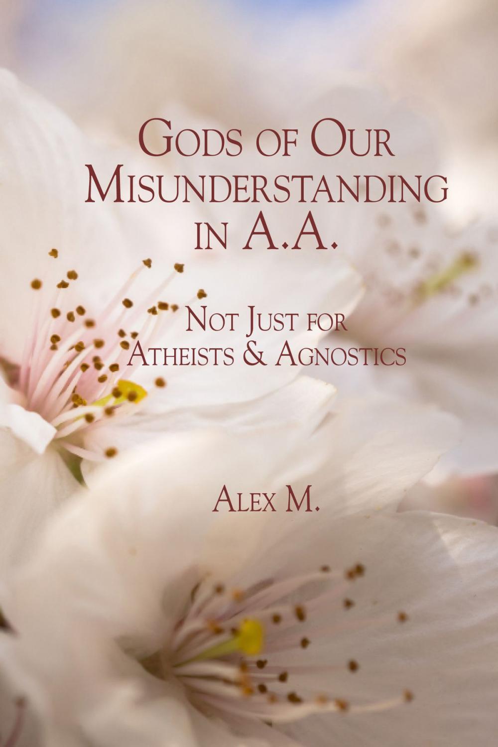 Big bigCover of Gods of Our Misunderstanding in A.A.