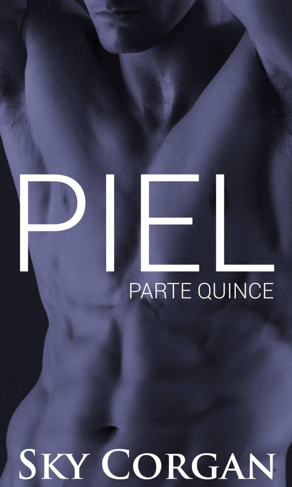 Big bigCover of Piel: Parte Quince