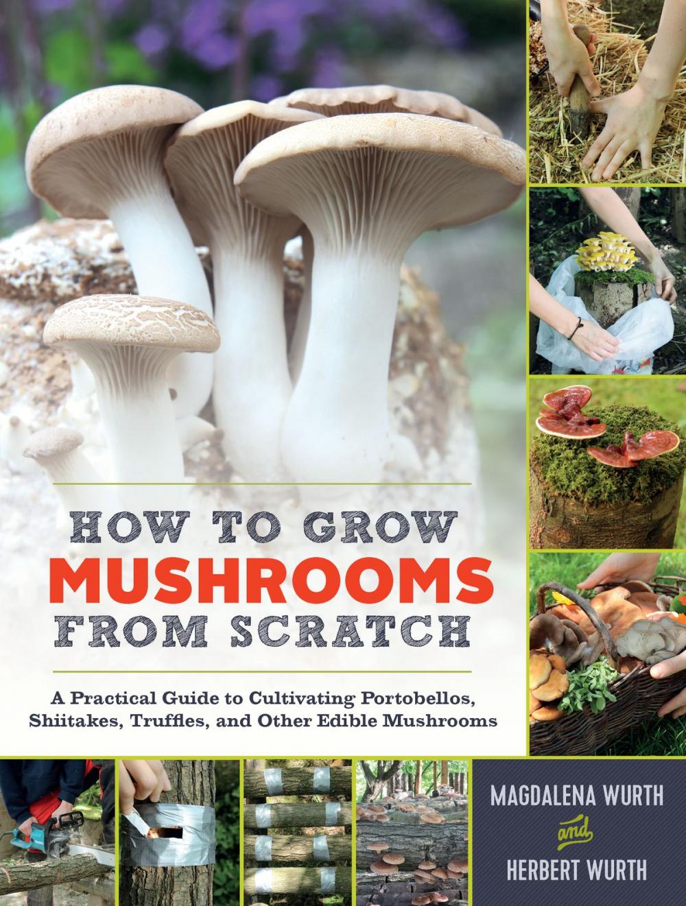 Big bigCover of How to Grow Mushrooms from Scratch