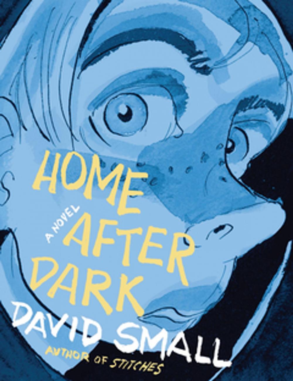 Big bigCover of Home After Dark: A Novel