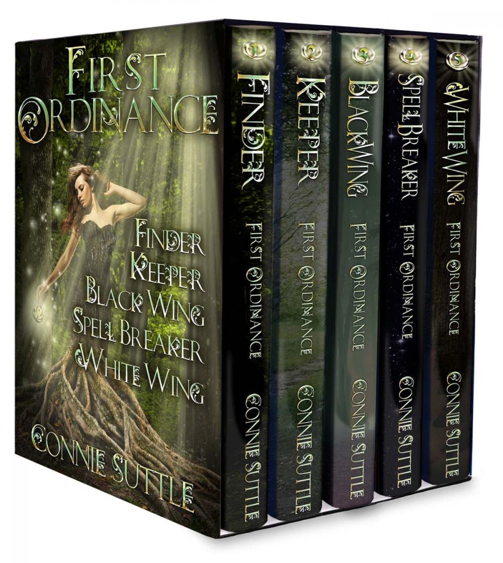 Big bigCover of First Ordinance Series