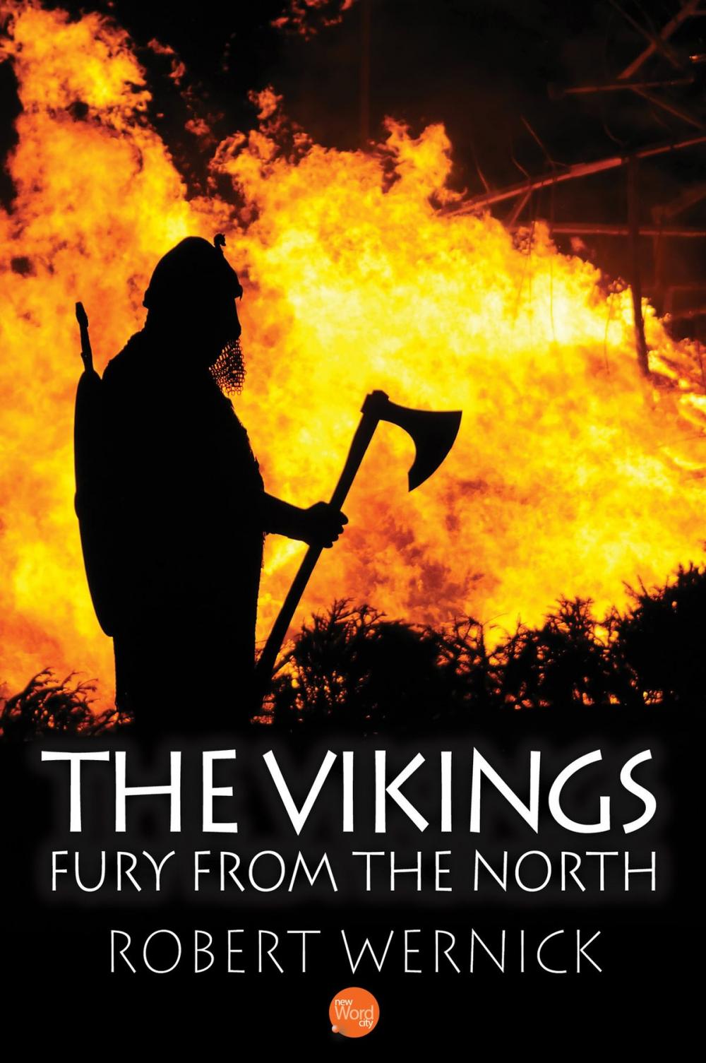 Big bigCover of The Vikings: Fury From the North