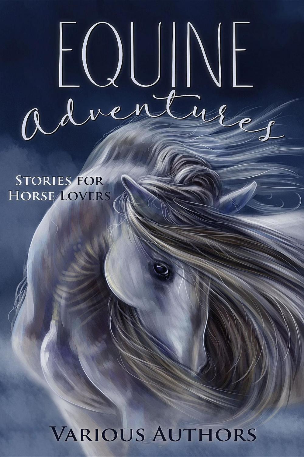 Big bigCover of Equine Adventures