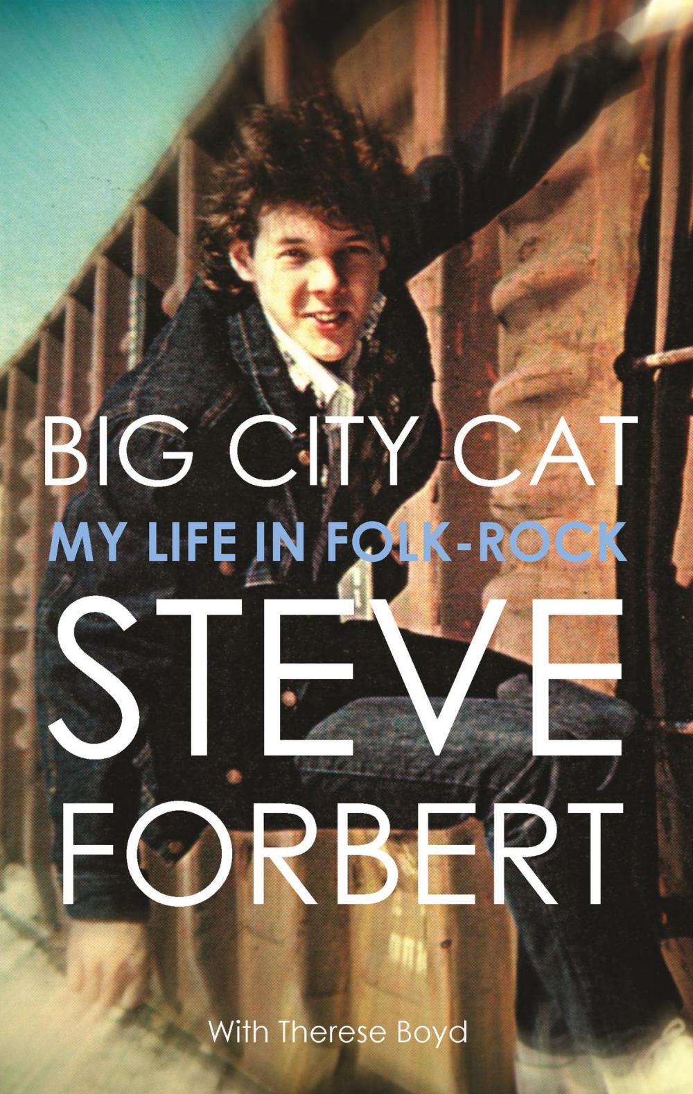 Big bigCover of Big City Cat