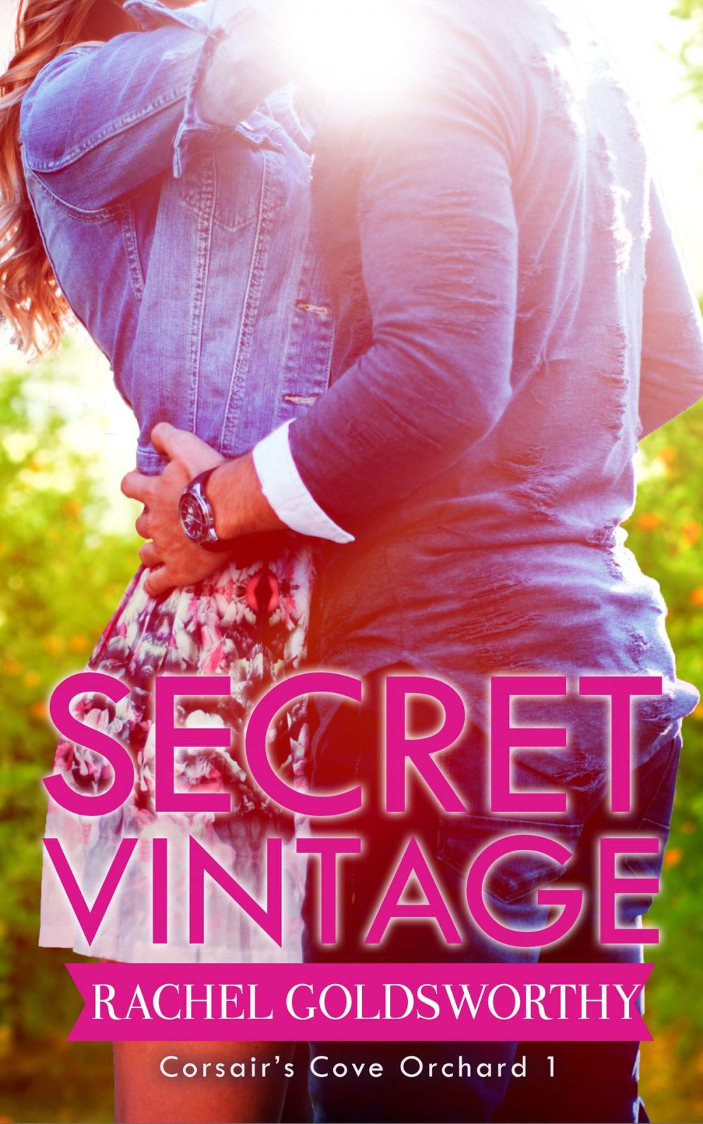 Big bigCover of Secret Vintage