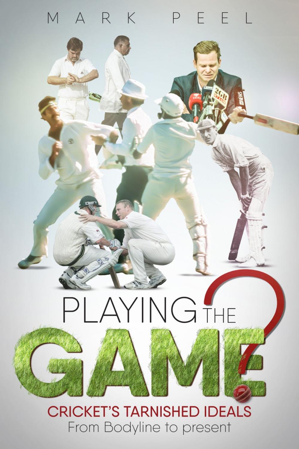 Big bigCover of Playing the Game?