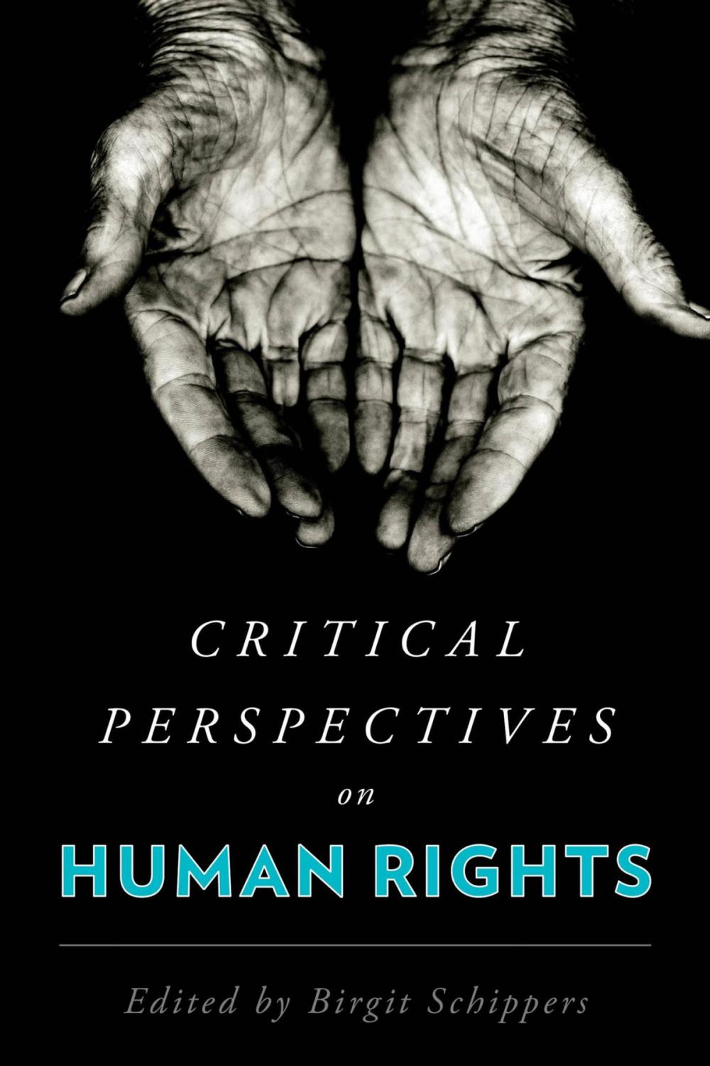 Big bigCover of Critical Perspectives on Human Rights