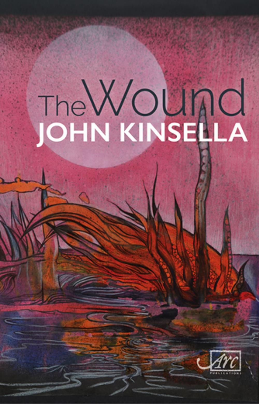 Big bigCover of The Wound