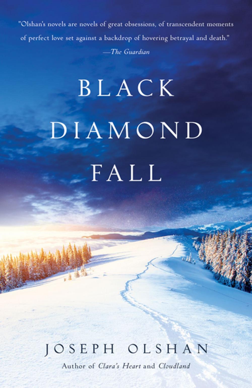 Big bigCover of Black Diamond Fall