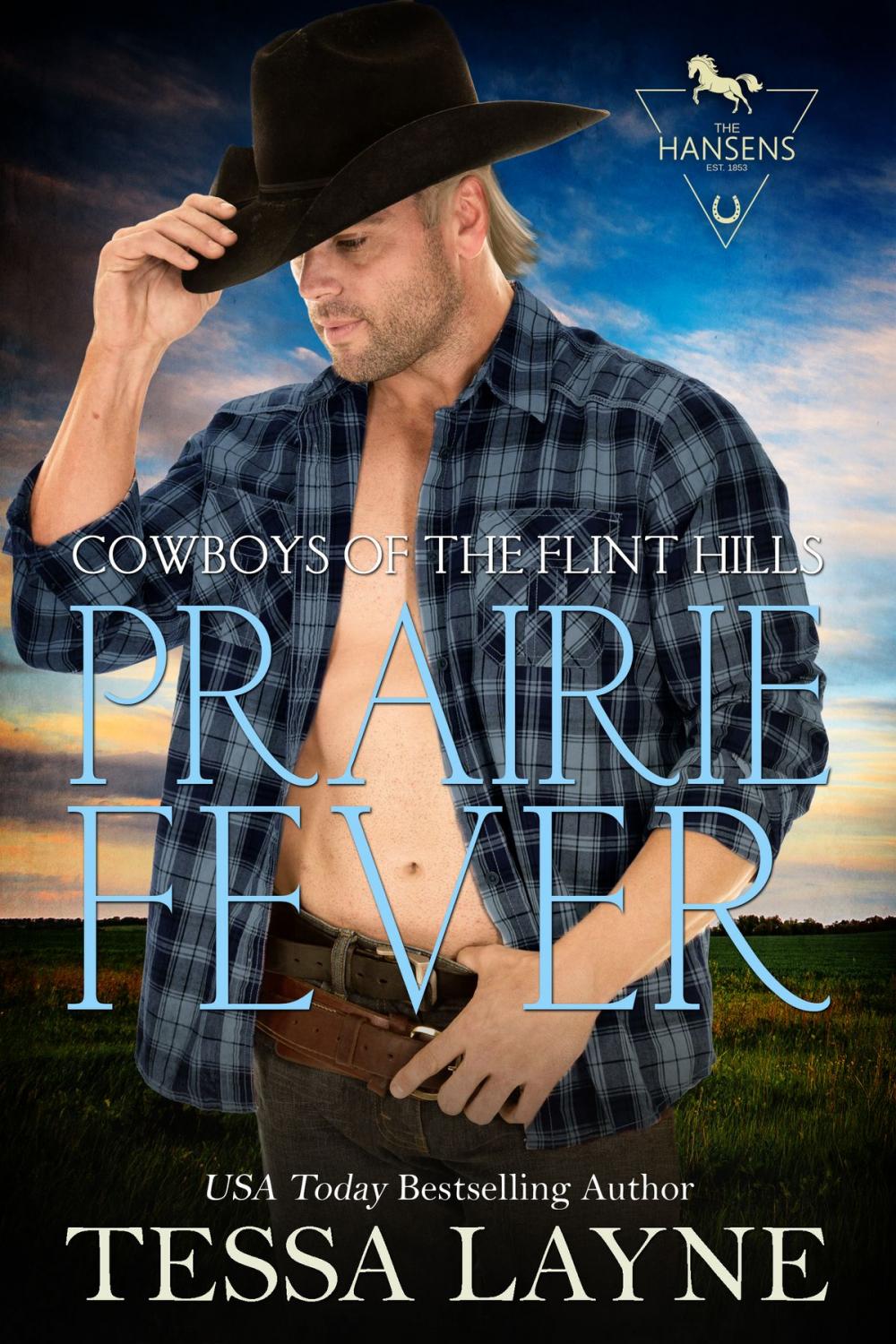 Big bigCover of Prairie Fever