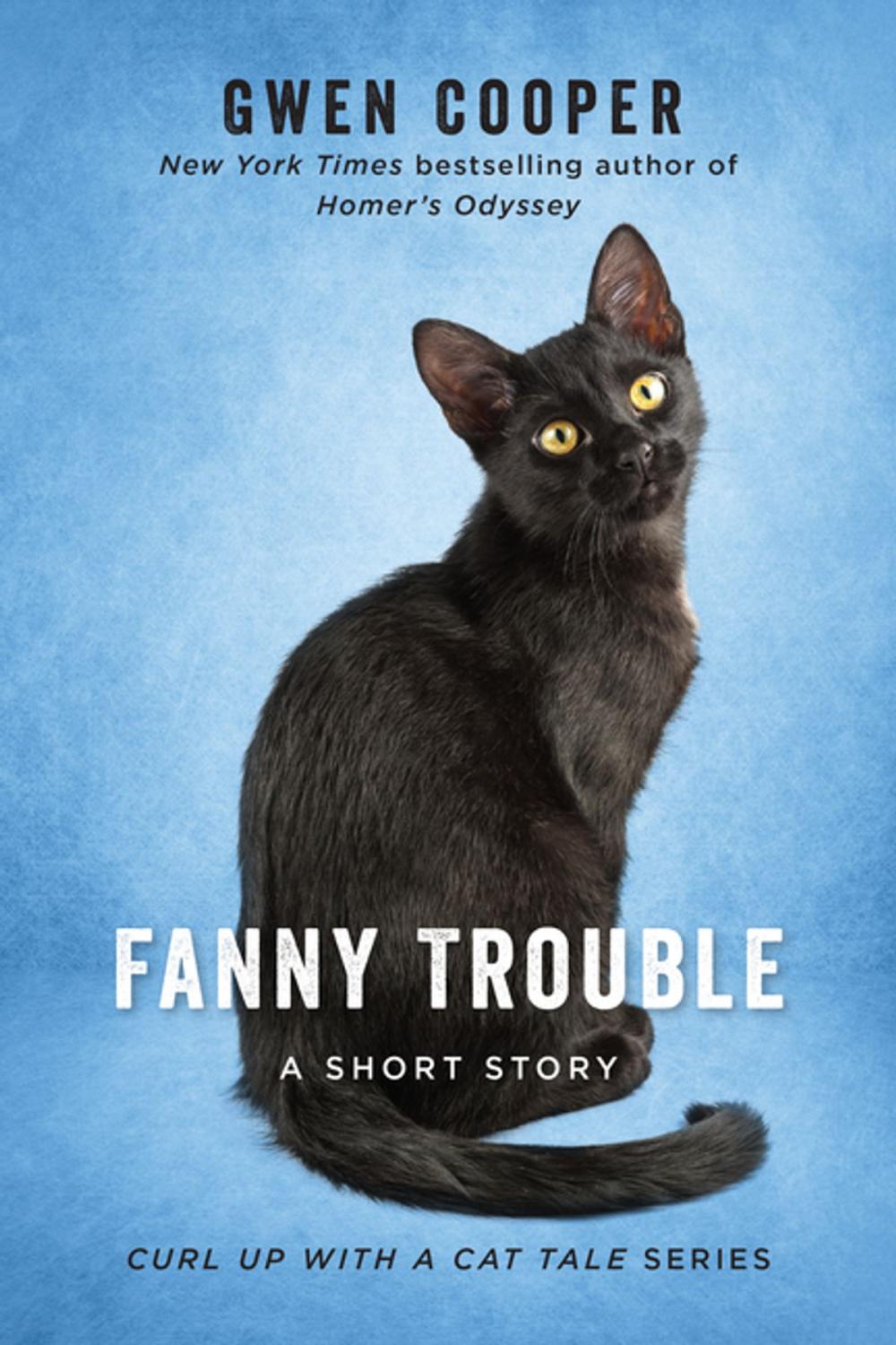 Big bigCover of Fanny Trouble