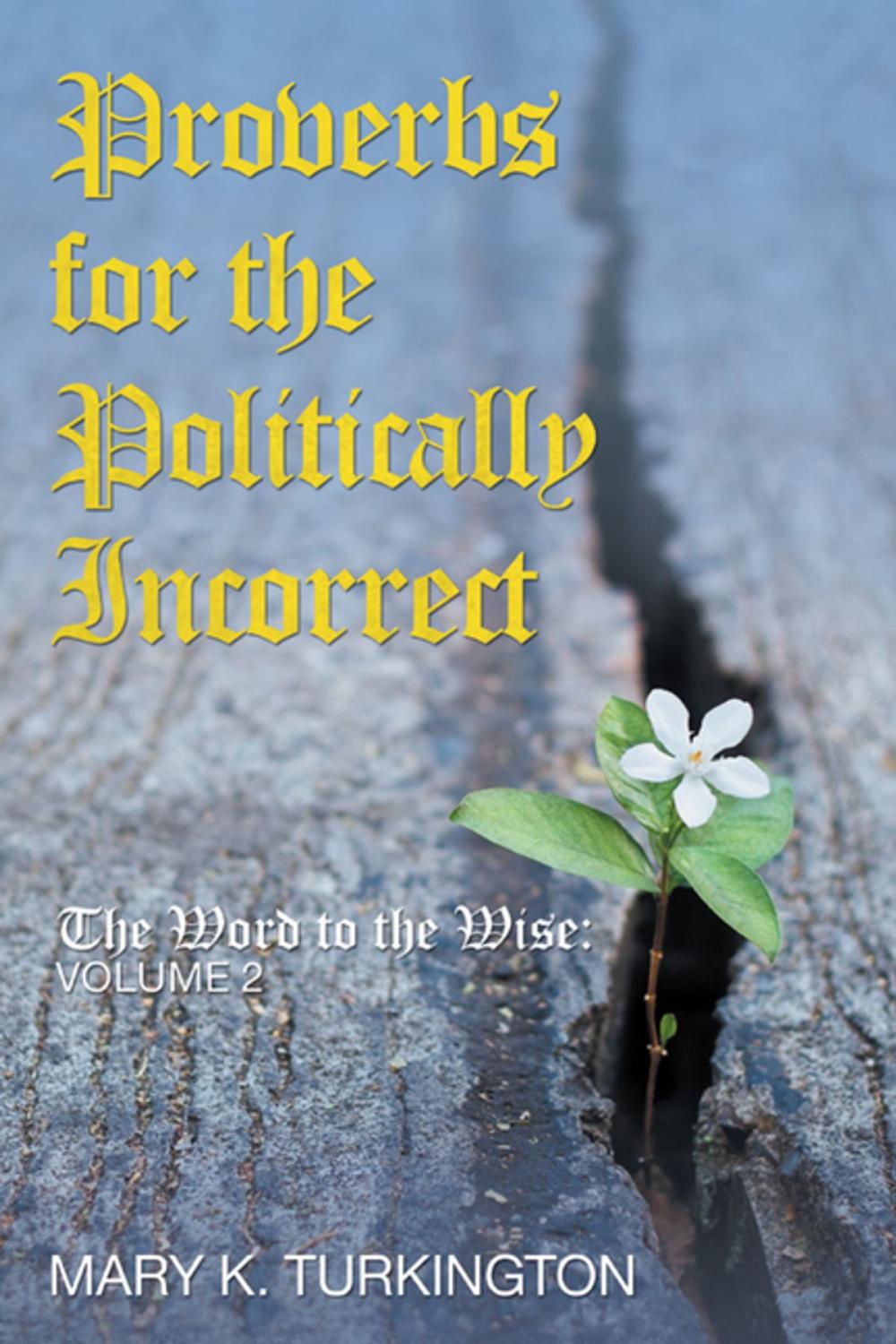 Big bigCover of Proverbs for the Politically Incorrect