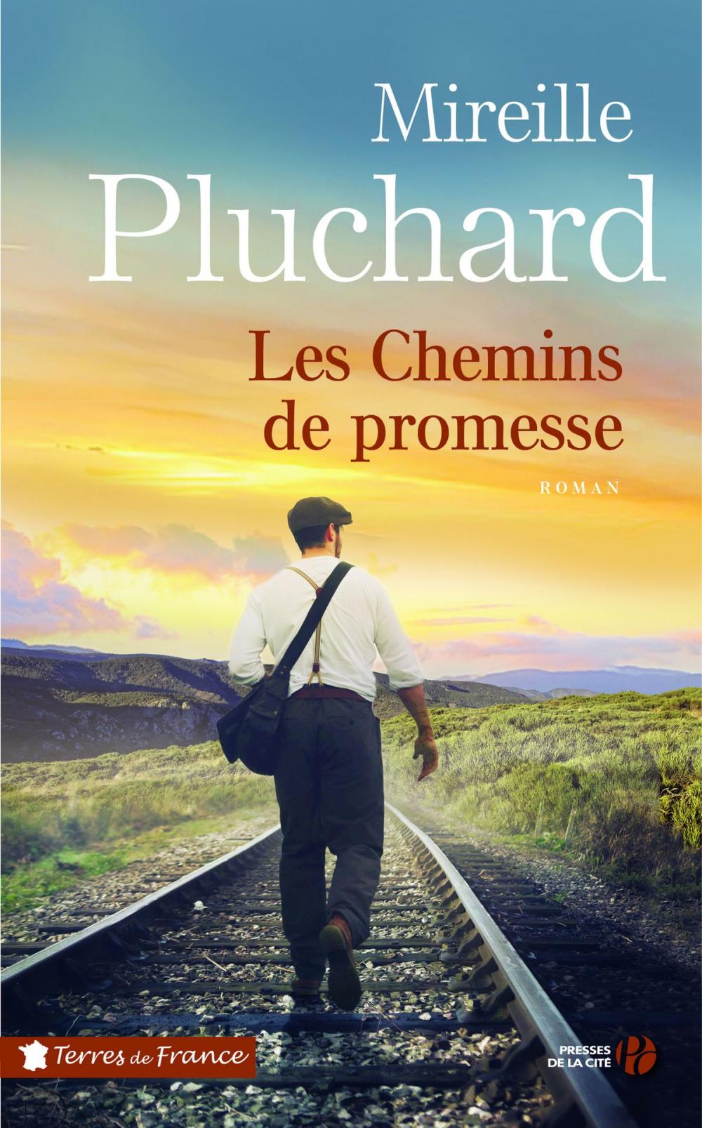 Big bigCover of Les Chemins de promesse